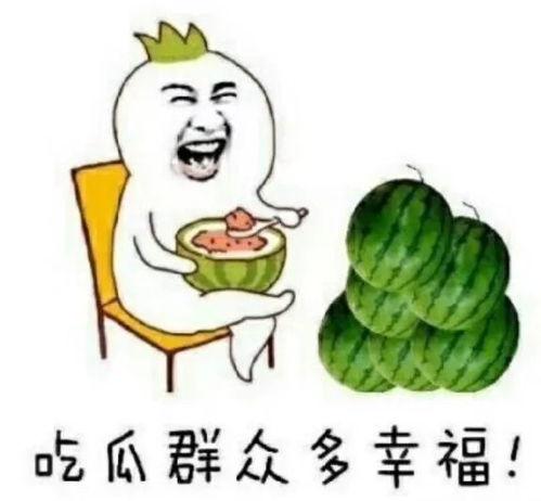 娱乐圈吃瓜的猹